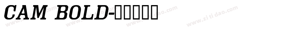 Cam Bold字体转换